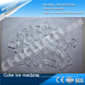 1000kgs high productsion cube ice maker with bin online whole sale